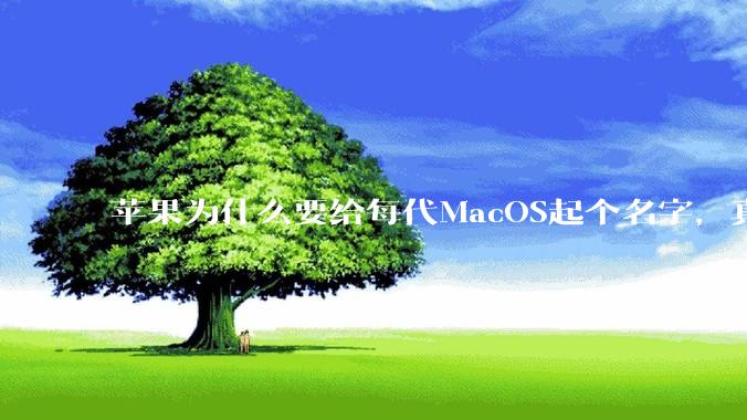 苹果为什么要给每代MacOS起个名字，真以为人们记得住分得清吗？