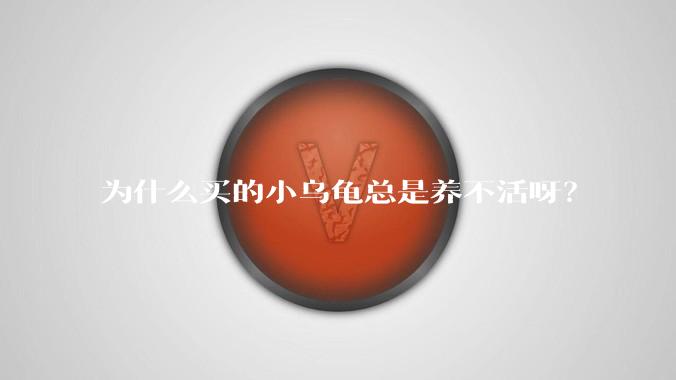 为什么买的小乌龟总是养不活呀？